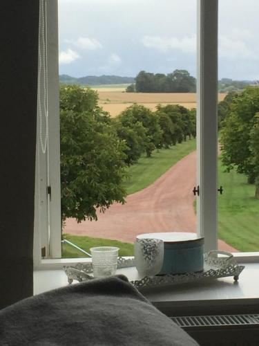 View, Munkagarden Bed & Breakfast in Helsingborg