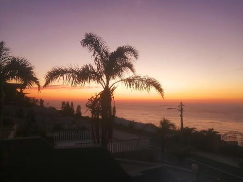 Jackie's s Ocean View in Bluff