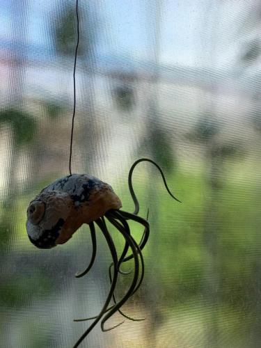 Seaside Getaway @ Swallow House Suite #2