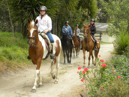 Hacienda Rosas Pamba