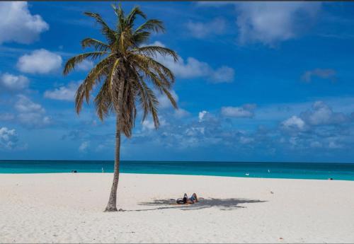 Ocean View Condo overlooking the Caribbean Sea