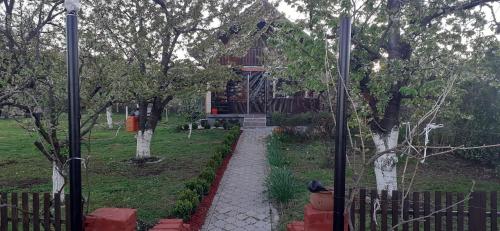 Juhor jagodina
