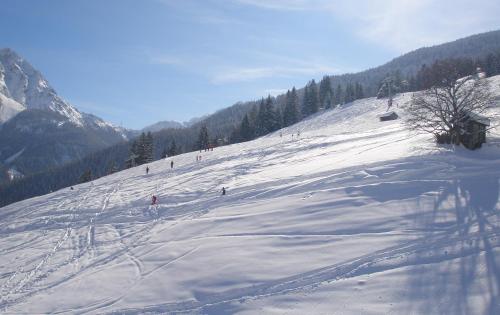 Apart Alpin - image 2