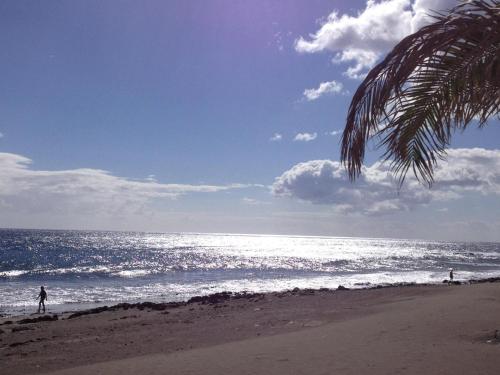 Bungalow Miami Beach AJ06 by VillaGranCanaria