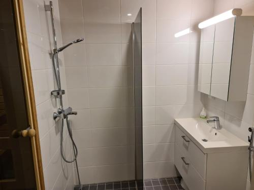 Bathroom, LeviBooking Lost in Levi apt 305 in Levi