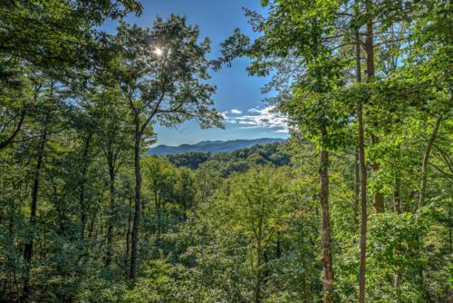 Stress Free Summit - image 9