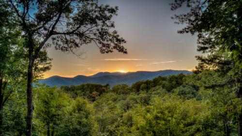 Stress Free Summit - main image