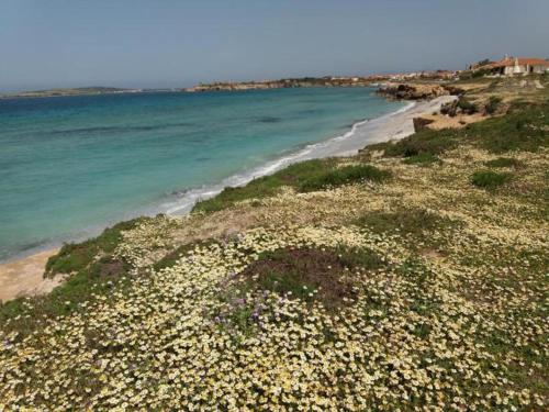 Casa Maluentu 2 gîte à louer Mari Ermi