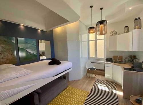 BIARRITZ: vue directe océan gîte à louer Biarritz