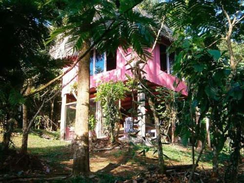 Vanilla Jungle Lodge - Rainforest Waterfall Garden Poasito