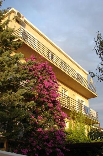 Bed & Breakfast Dora, Rovanjska