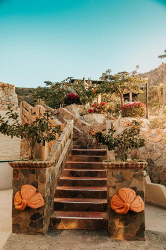 322796996 Castillo Blarney Inn