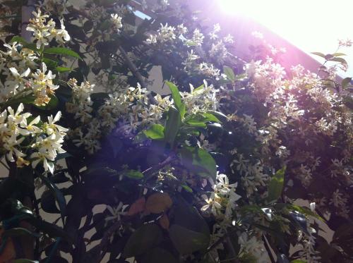 Maree Hotel - image 6