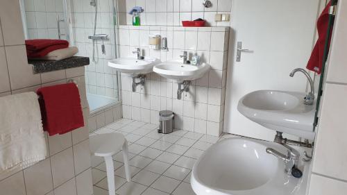 Bathroom, Ferienwohnung am Kammweg in Johstadt