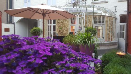 B&B Huize Briers - image 5