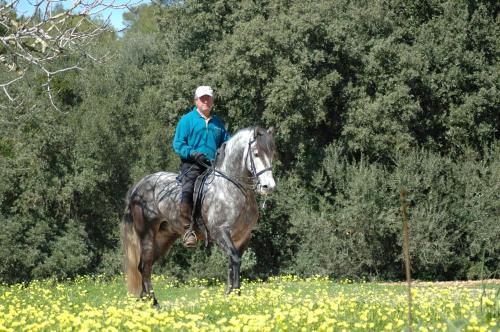Agroturismo Son Samà - image 4