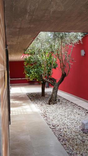 Facilities, VILLA MAGNOLIA in Saint-Eloi
