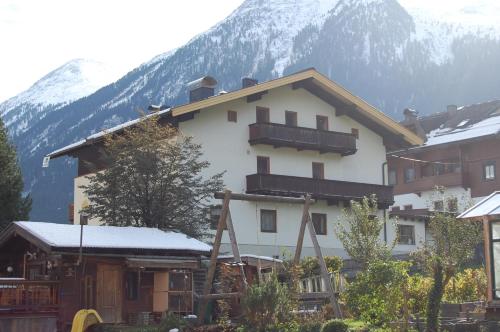 Alpensonne - image 11
