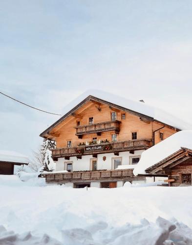 Waldruhe Appartements in St. Jakob in Defereggen, Österreich