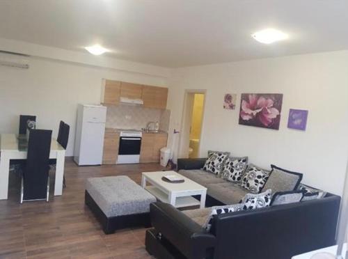 Lux show room