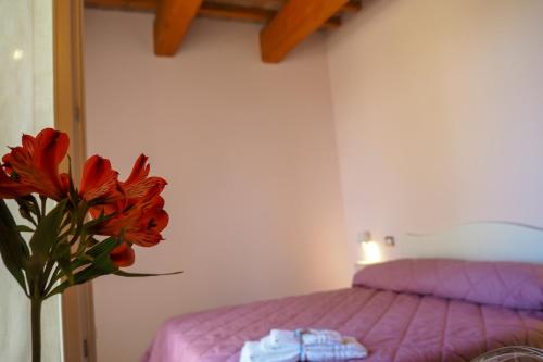 Country House Ca'Balsomino