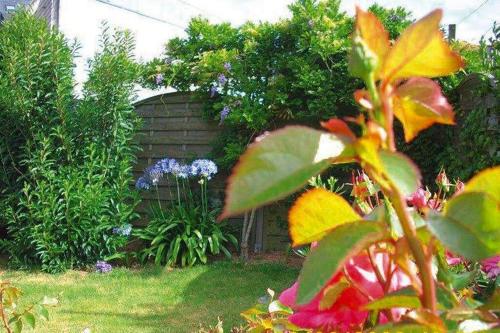 Semi-detached house Damgan-Penerf - BRE04314-L - image 3