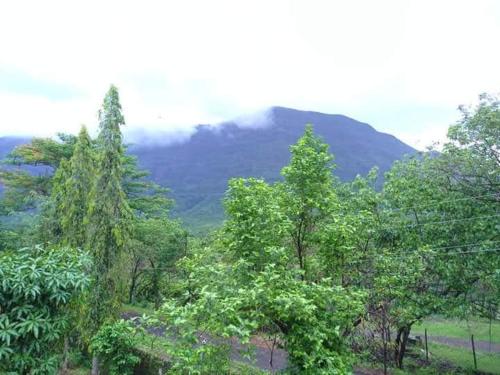 Weekend Villa at Nature's Lap (Malshej Ghat)