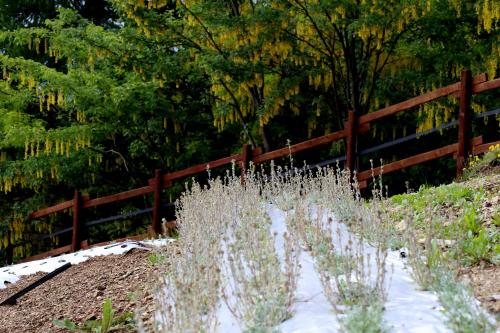 Agriturismo A Nostro Mizoun - image 8