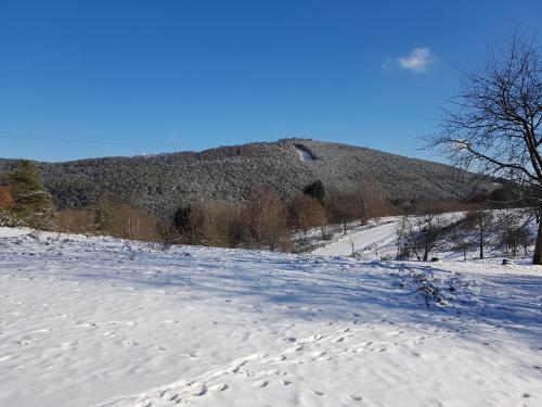 Höllenbergblick