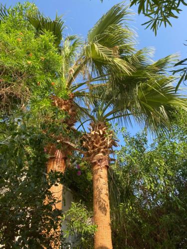 Hill Villa Venezia El Gouna: pool, beach & WiFi Hill Villa Venezia El Gouna: pool, beach & WiFi