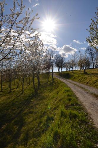 Casale Rancaglia