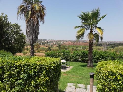 Villa Oasi gîte à louer Siracusa Circuit