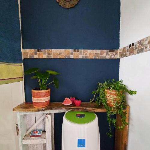 Naturaleza en armonia in أخرى