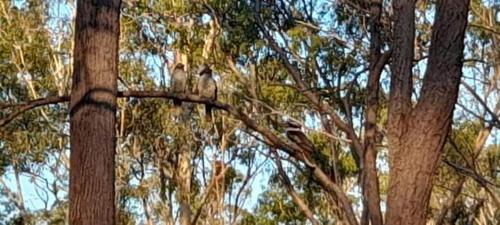 Childers Nature Camp