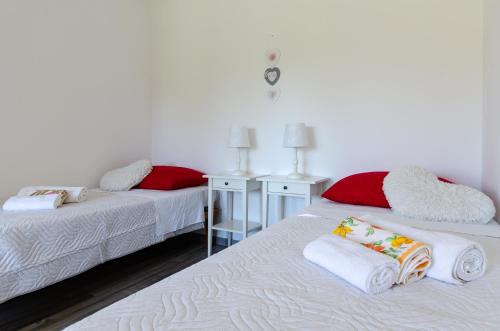 Istrian house in the heart of Tupljak - Smilovic