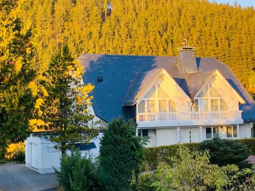 Landhaus Mühlenberg in Willingen, Deutschland