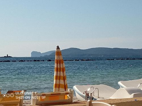 View, Arcamyrtus in Alghero