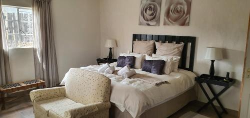 德拉肯斯堡叢林背包客旅館 (Drakensberg Bush Lodge and Backpackers) in 溫特頓