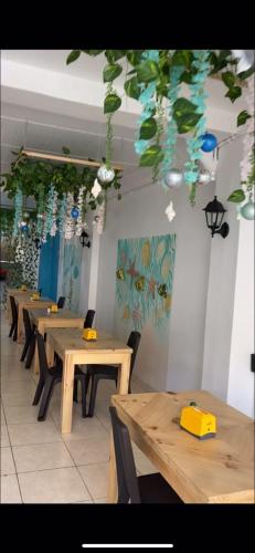 Hotel Cafe Estrella – Armenia, MO