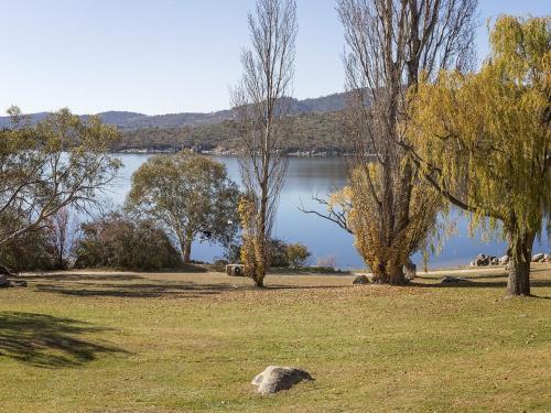 Grey Kangaroo On Lake Jindabyne foreshore