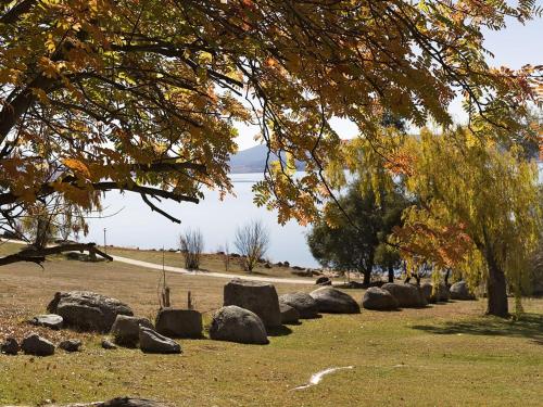 Grey Kangaroo On Lake Jindabyne foreshore