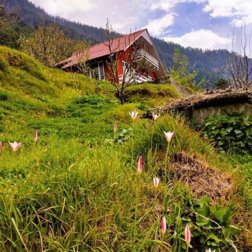 Rustic Cottage by Workalyas