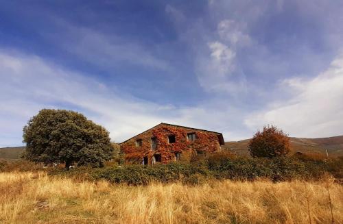 EL CUENTO DE LA ENCINA. Un espacio para sentir - Chalet - Majaelrayo