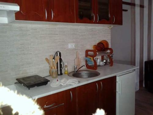 Apartman lux Tina - image 12