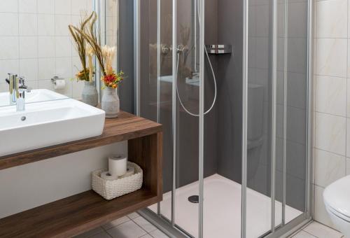 Hotel Schmid & Alfa - image 13