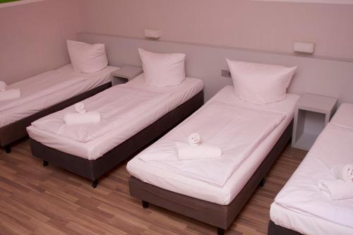 Colour Hotel - image 14