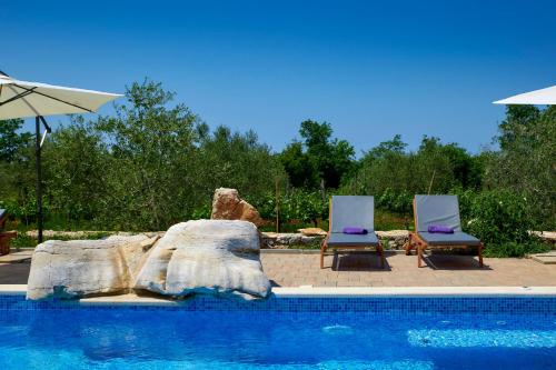 Relax house surrounded by olives and vineyard