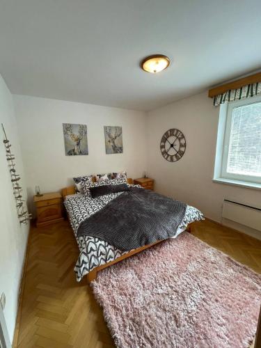 APARTMA ODKLOP Rogla