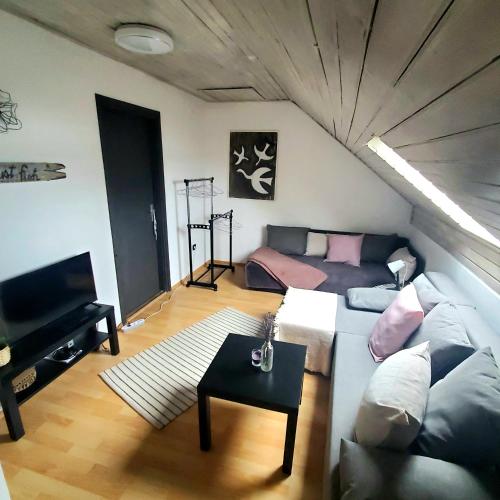 Koplietošanas atpūtas telpa ar TV, Duna House Duna Ház (Duna House Duna Haz) in Tass