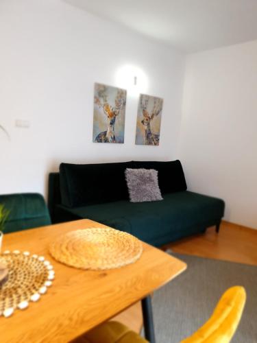 Apartament Bolek i Apartament Lolek, Zakopane (fotografie 6)